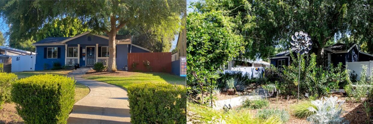 Two photos show a lawn with grass and with native plants