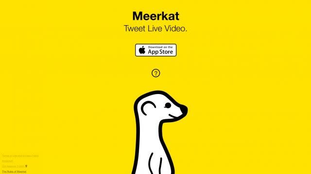 Meerkat dumps Twitter for Facebook