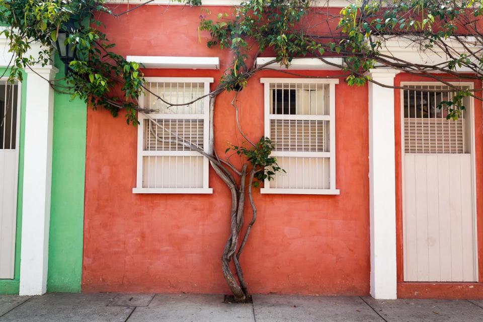 <p>A claylike red and minty green find harmony in Colombia.</p>