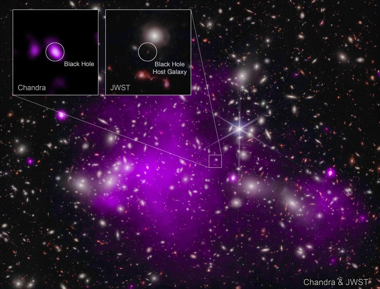 Webb and Chandra composite image of a galaxy of stars with cross-section zoomed in on black hole speck.