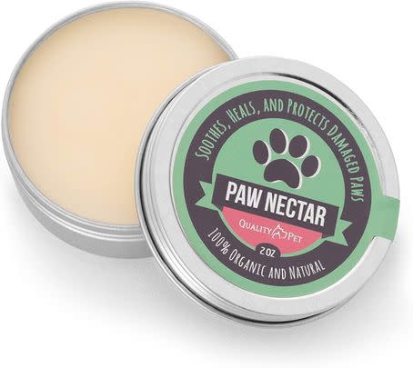 Give your dog's paws some well-deserved TLC with this moisturising balm