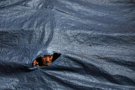 An elderly protesting farmer looks through a hole in a tarpaulin covering the tractor trolley as they march to the capital during India's Republic Day celebrations in New Delhi, India, Tuesday, Jan. 26, 2021. Tens of thousands of farmers drove a convoy of tractors into the Indian capital as the nation celebrated Republic Day on Tuesday in the backdrop of agricultural protests that have grown into a rebellion and rattled the government. (AP Photo/Altaf Qadri)