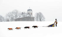 A musher rides his dog sled during a stage of the Sedivackuv Long dog sled race in Destne v Orlickych horach, Czech Republic, January 25, 2019. REUTERS/David W Cerny