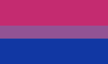 <p>Bisexuality can be defined a few different ways depending on who you ask in the community. For many, it's seen as attraction to both men and women. Others use it to describe attraction to more than one gender, but not all genders. Some even describe it as attraction to the gender you identify as and at least one other gender.</p><p><a href="https://www.pride.com/bisexual/2015/5/15/6-facts-you-never-knew-about-bisexual-flag-yes-there-one" rel="nofollow noopener" target="_blank" data-ylk="slk:According to Pride;elm:context_link;itc:0;sec:content-canvas" class="link ">According to <em>Pride</em></a>, this flag was created by activist Michael Page. He wanted to create a symbol for bisexual people to feel connected to since he felt the rainbow flag wasn't doing the job. Each of the colors symbolize some kind of attraction.</p><p>Pink (or magenta): Same-sex attraction</p><p>(Royal) blue: Opposite-sex attraction</p><p>Purple (lavender): Attraction to both sexes. </p>