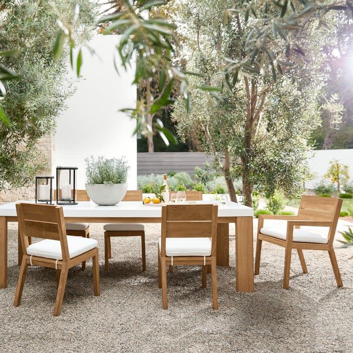 a table with chairs and a plant