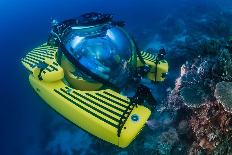 Safety is paramount; the organisation’s subs are made by Florida company Triton Submarines, using 6.6 inch thick acrylic hulls manufactured by German firm Heinz Fritz.