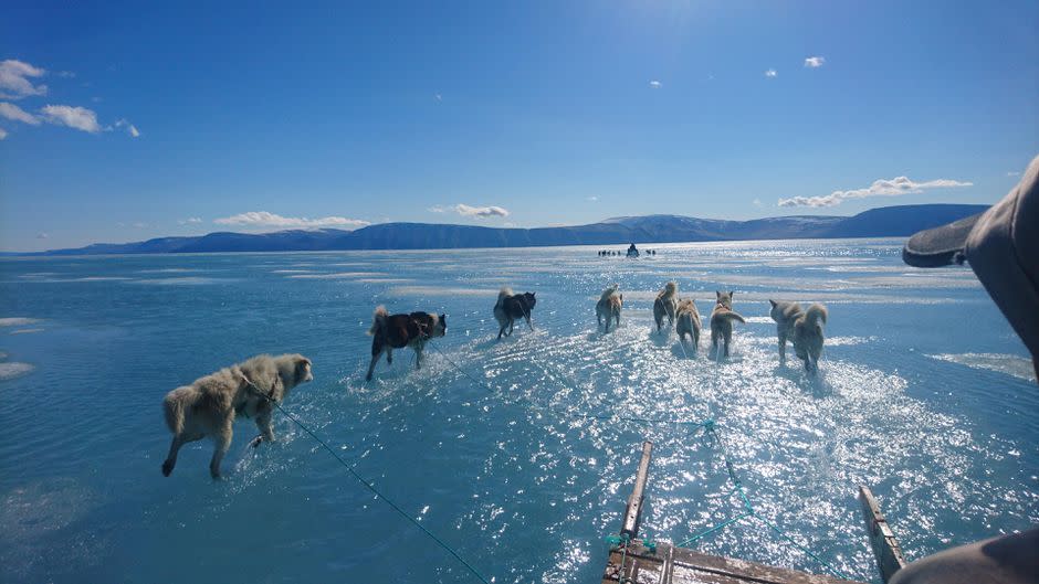 格陵蘭受融冰困擾，唔少陸地都已經被海水淹浸。