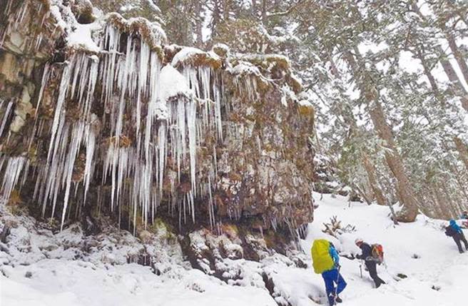 鶻為2016霸王寒流來襲，雪山主峰雪況。（資料照）
