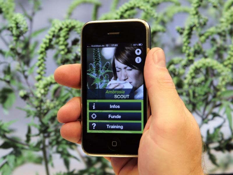 Pollen-Apps sind nützliche Programme für Allergiker. Foto: Soeren Stache