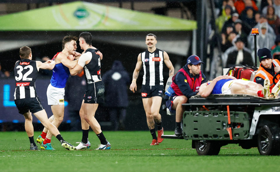 Brayden Maynard, pictured here after knocking out Angus Brayshaw.