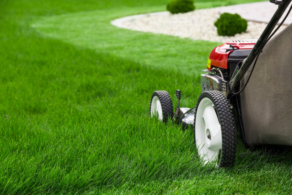 Scotts products will get your lawn this thick and green. Seriously. (Photo: Amazon)