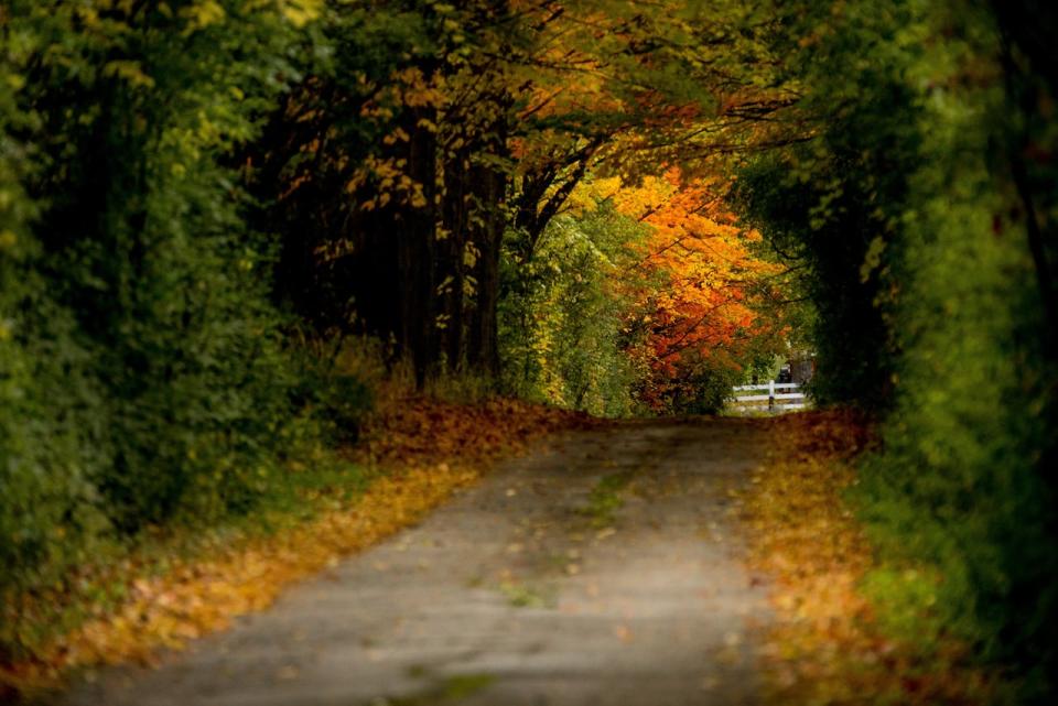 Weather conditions in the fall will be a factor in the duration of the fall season. This photo was taken in early fall in 2020 in the Ontario municipality of Markham.