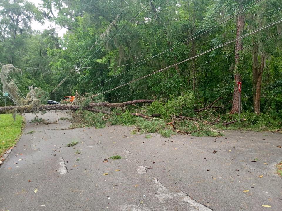 A fallen tree blocks a road in the Kirkwood neighborhood in southwest Gainesville Friday morning after a strong storm moved through the area.