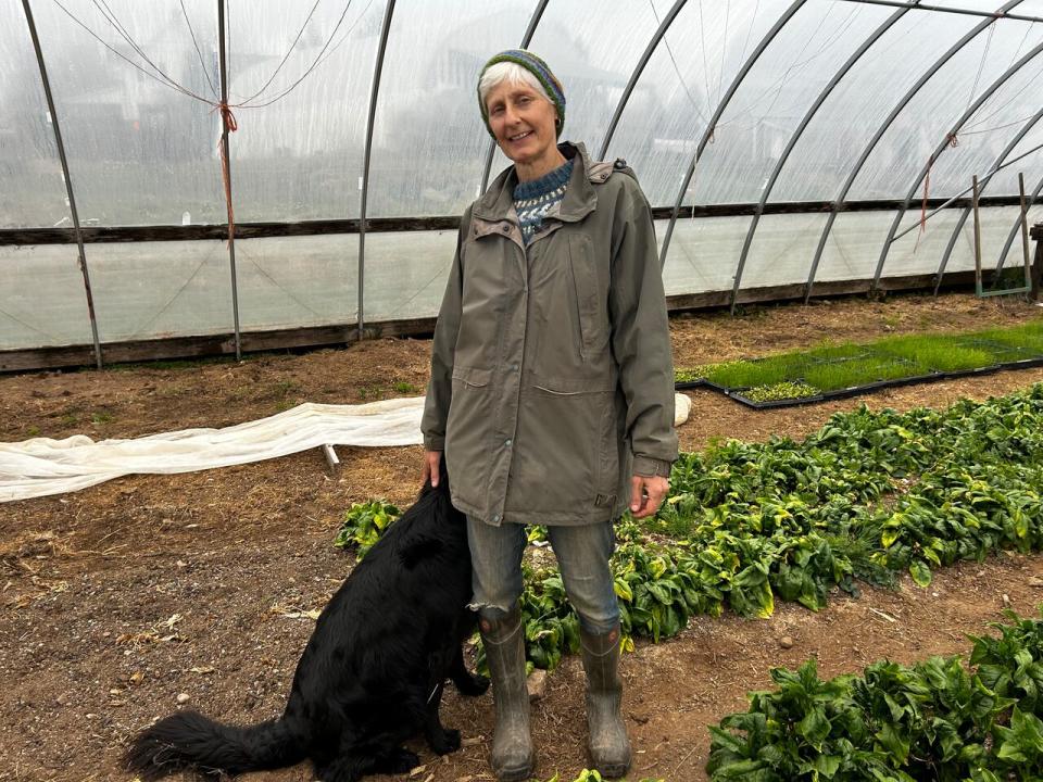Alyson Chisolm, owner of Windy Hill Organic Farm in Kent County, says it's not as simple as 'boycott Loblaw, buy from the farmers' market.' She says a transition toward local food must enable farmers to meet that need. (Raechel Huizinga/CBC - image credit)