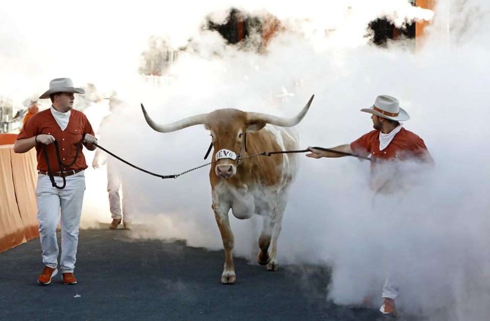 The Texas Longhorns mascot "Bevo" enters the field before the game with the LSU Tigers Saturday Sept. 7, 2019 at Darrell K Royal-Texas Memorial Stadium in Austin, Tx. ( Photo by Edward A. Ornelas )