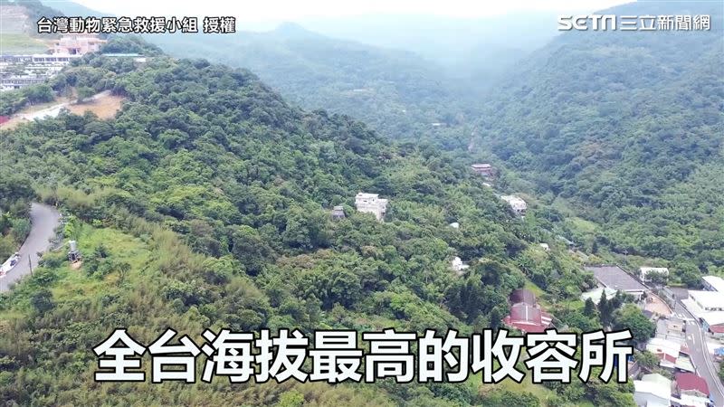 基隆市動物收容所海拔高度相當高，冬季最低溫可至零度以下。（圖／台灣動物緊急救援小組 授權）