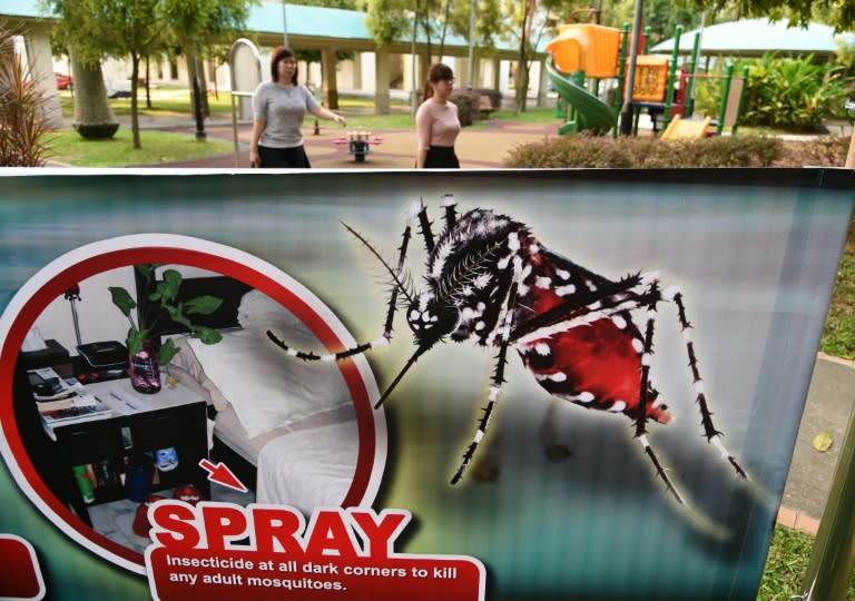 More than 150 cases of the Zika virus have been confirmed in Singapore