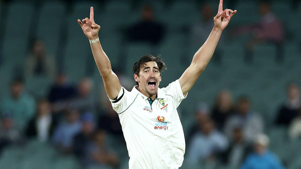 Pictured here, Mitchell Starc appeals for a wicket against India in Adelaide.