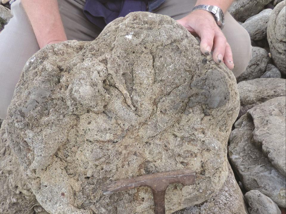Photo of a theropod footprint found near Folkestone, Kent. (University of Portsmouth/PA)