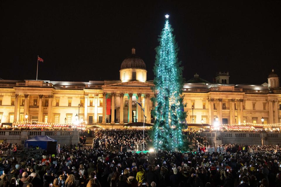 Trafalgar Square Christmas tree light switch-on (PA)