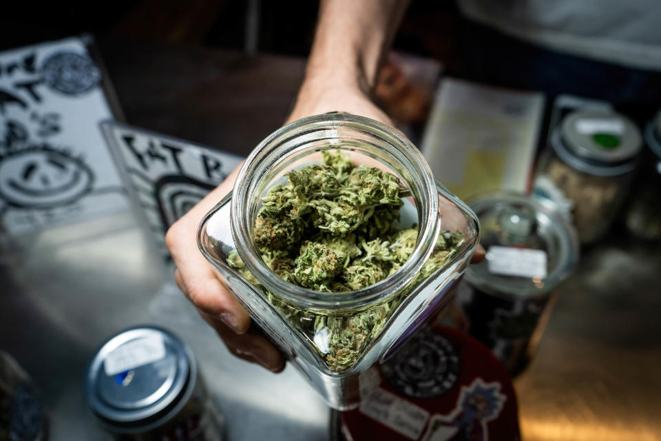 BANGKOK, THAILAND - 2022/07/26: A bud-tender at Fat Bud's, a small dispensary in Bangkok, shows a jar of the cannabis flowers for sale at their shop, which is focused on buying and selling cannabis grown by local farmers in Thailand. Since the Thai Government decriminalised the sale and possession of marijuana on June 9, 2022, dry cannabis flowers have begun to be sold in dispensaries and on the street throughout Bangkok. A sudden boom in the marijuana business coupled with its swift legalisation comes without a strong framework for legislative regulation, resulting in an uncertain economic forecast for the weed industry in Thailand. With the support of Thai doctors, some political parties have expressed concern about the current lack of regulation of cannabis, adding to uncertainty about the future of cannabis legalisation in Thailand. (Photo by Matt Hunt/SOPA Images/LightRocket via Getty Images)