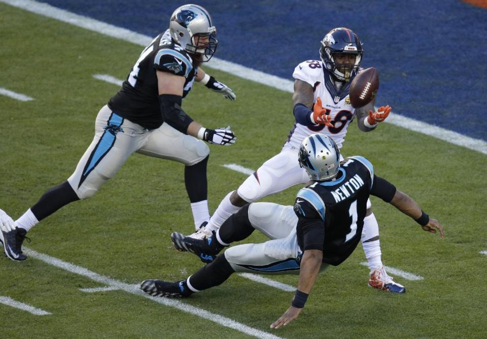 <p>Not only did the 2015 Carolina Panthers post a rare 15-1 record, they looked unstoppable in their first two playoff games. It all came crashing down for Cam Newton and company with a 24-10 loss to the Denver Broncos in Super Bowl 50. </p>
