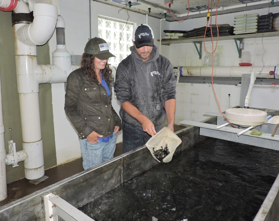 Liz and Adam Pritts check on growing trout Aug. 30, 2022, at Laurel Hill Trout Farm in Somerset.