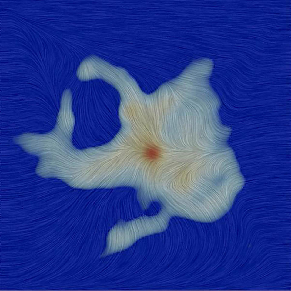 ALMA measured the orientation of magnetic fields surrounding a newly forming star, realizing they're weaker and more chaotic than expected. <cite> P. Mocz/C. Hull, CfA/ALMA (ESO/NAOJ/NRAO)</cite>