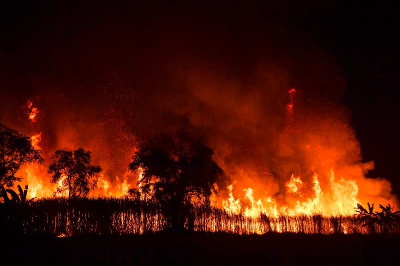 Sugar cane field is engulfed in flames at night as local growers try to avoid arrest by authorities who banned on the practice to curb smog in Suphan Buri province