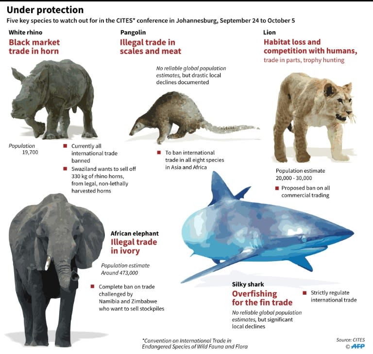 A pangolin can sell for anything between 10,000 rand ($730) to 80,000 rand ($5,800)