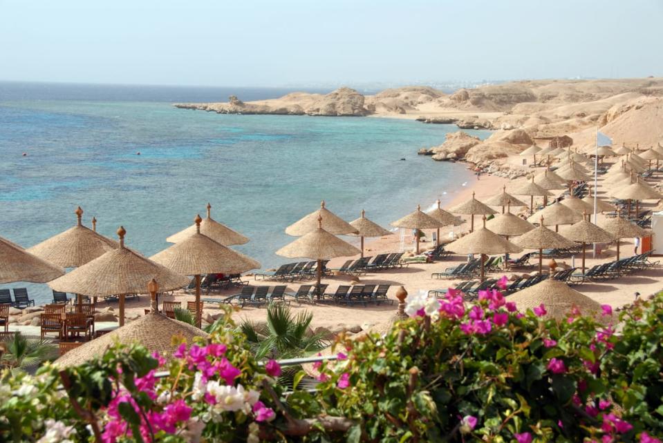 <div class="inline-image__caption"><p>Parasols and blooming bougainvillea near Sharm el-Sheikh in Egypt.</p></div> <div class="inline-image__credit">Getty Images</div>