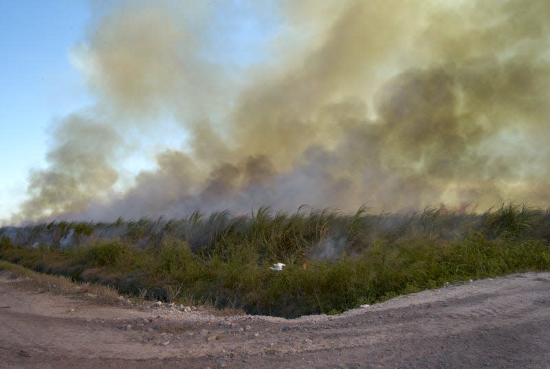 High School Football: Muck Bowl: Scenic view of sugarcane burning in a field. Glades Central and Pahokee football teams, from the destitute sugarcane area known as the Muck, are two of the top programs in the state. Palm Beach County, FL 11/15/2009