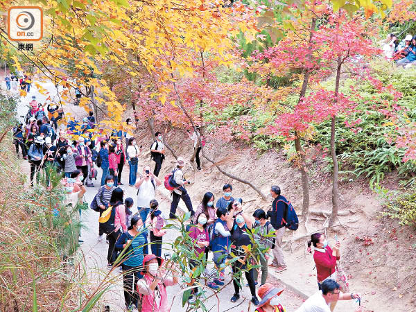 疫情下郊野公園遊人眾多。