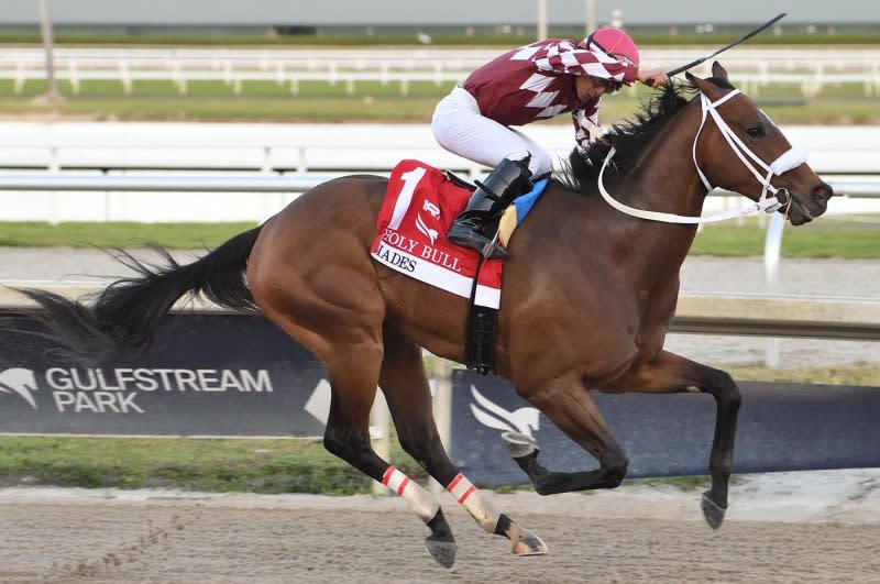 Hades wins the Holy Bull Stakes at Gulfstream Park, a Kentucky Derby prep. Photo courtesy of Gulfstream Park