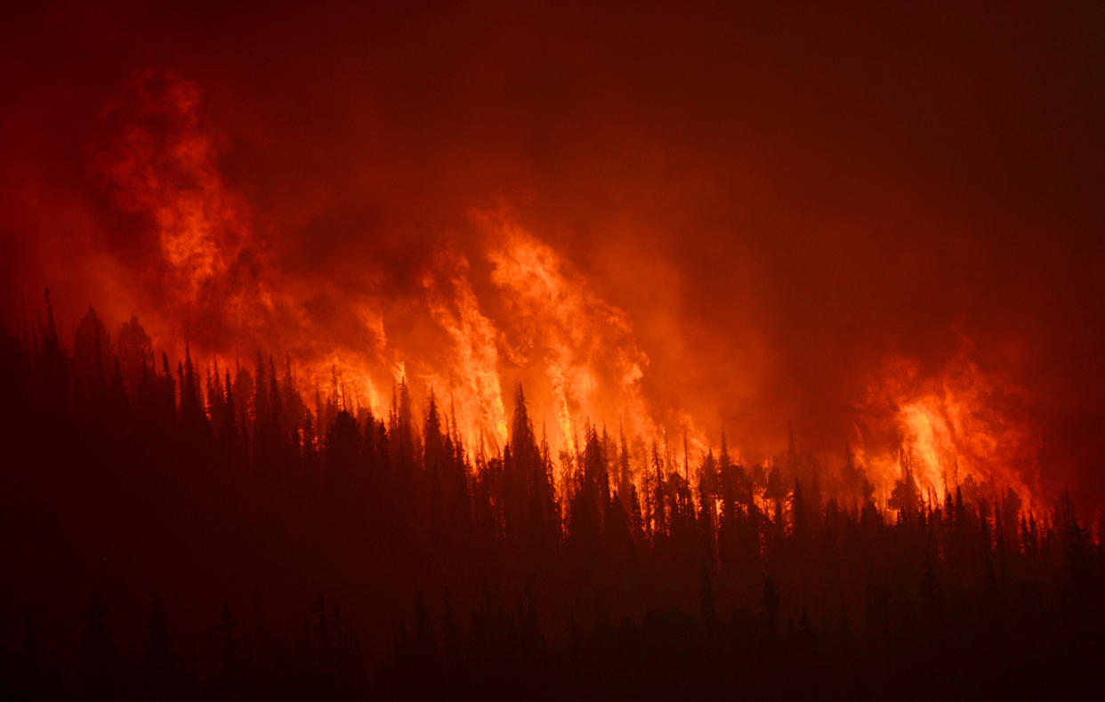 A wildfire burns in Colorado.&nbsp; (Photo: RJ Sangosti via Getty Images)