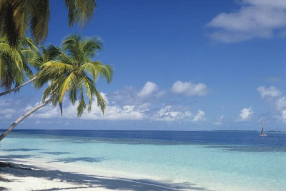 maldives, beach, deserted beach with tourists on catamaran boat in the indian ocean....