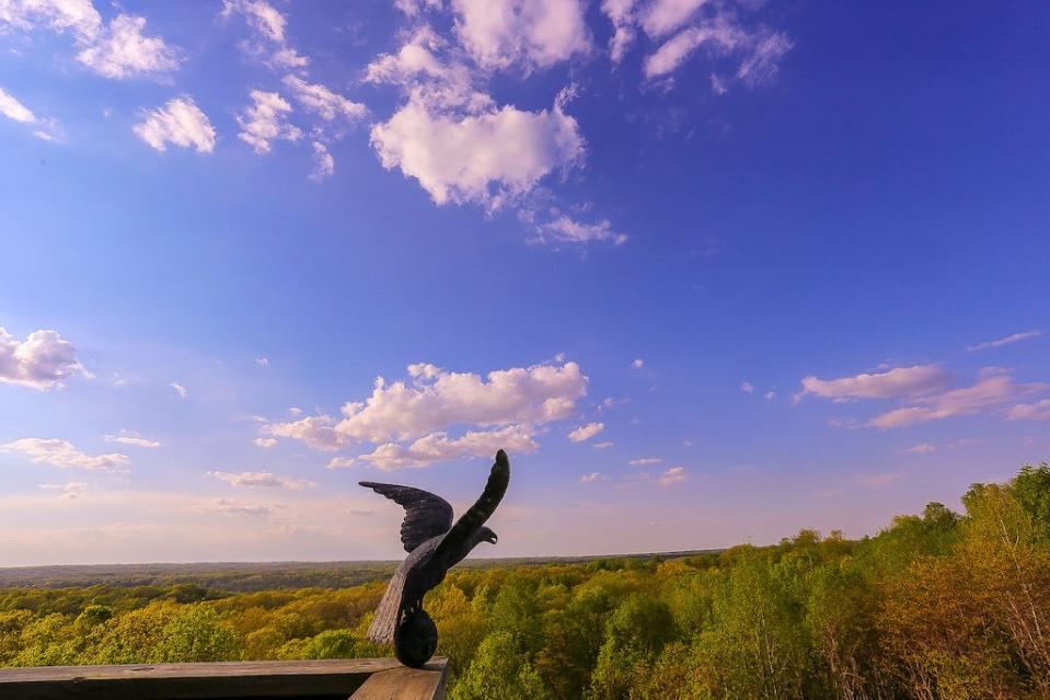 The view from Treetop Retreat.