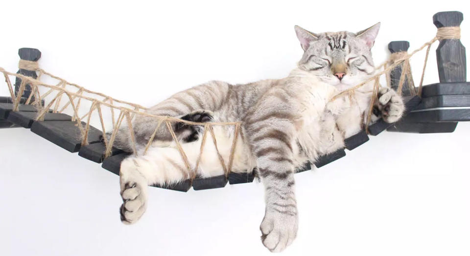 This cat bridge is the ultimate Christmas present. [Photo: CatastrophiCreations/ Etsy]   