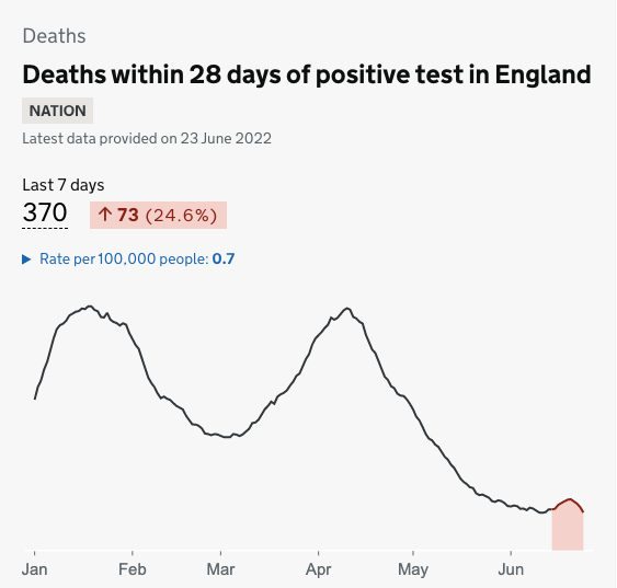 Deaths have also been increasing, although the fallout from the current spike is likely to show later. (Gov)