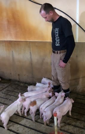 Hog farmer Mike Paustian looks at some of his piglets in his farm in Walcott, Iowa