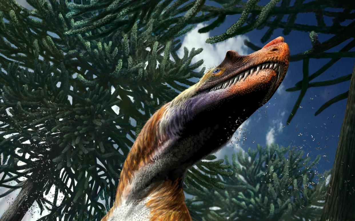 Fossils from the dinosaur were found in a quarry in northern Italy in 1996, but have taken more than 20 years to remove and analyse - Davide Bonadonna /SWNS.COM