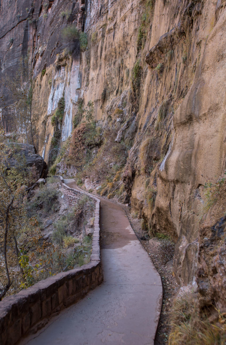 FILE -- A trail along the valley floor in the Narrows is viewed on Nov. 6, 2019, in Zion National Park in Utah.  / Credit: Getty Images