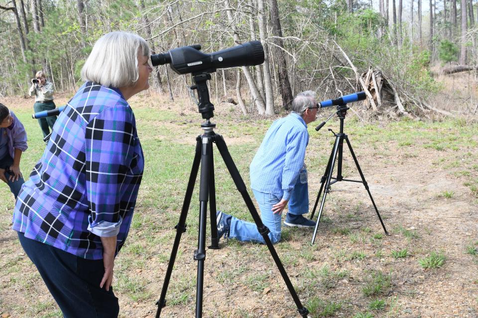 Bea Siebeneicher (left) and Billy Mezza look through scopes at an eagle's nest in Kisatchie National Forest. The Kisatchie Forest Service is hosting eagle tours of the nest and eagles this week.