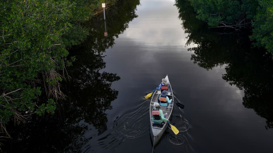 Visitors navigate the Flamingo Canal in Everglades National Park in Florida, wild animal sightings could include alligators. - Bonnie Jo Mount/The Washington Post/Getty Images