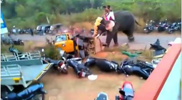 One of the five elephants to be used in an Indian festival raged out, flipping vehicles. Picture: LiveLeak