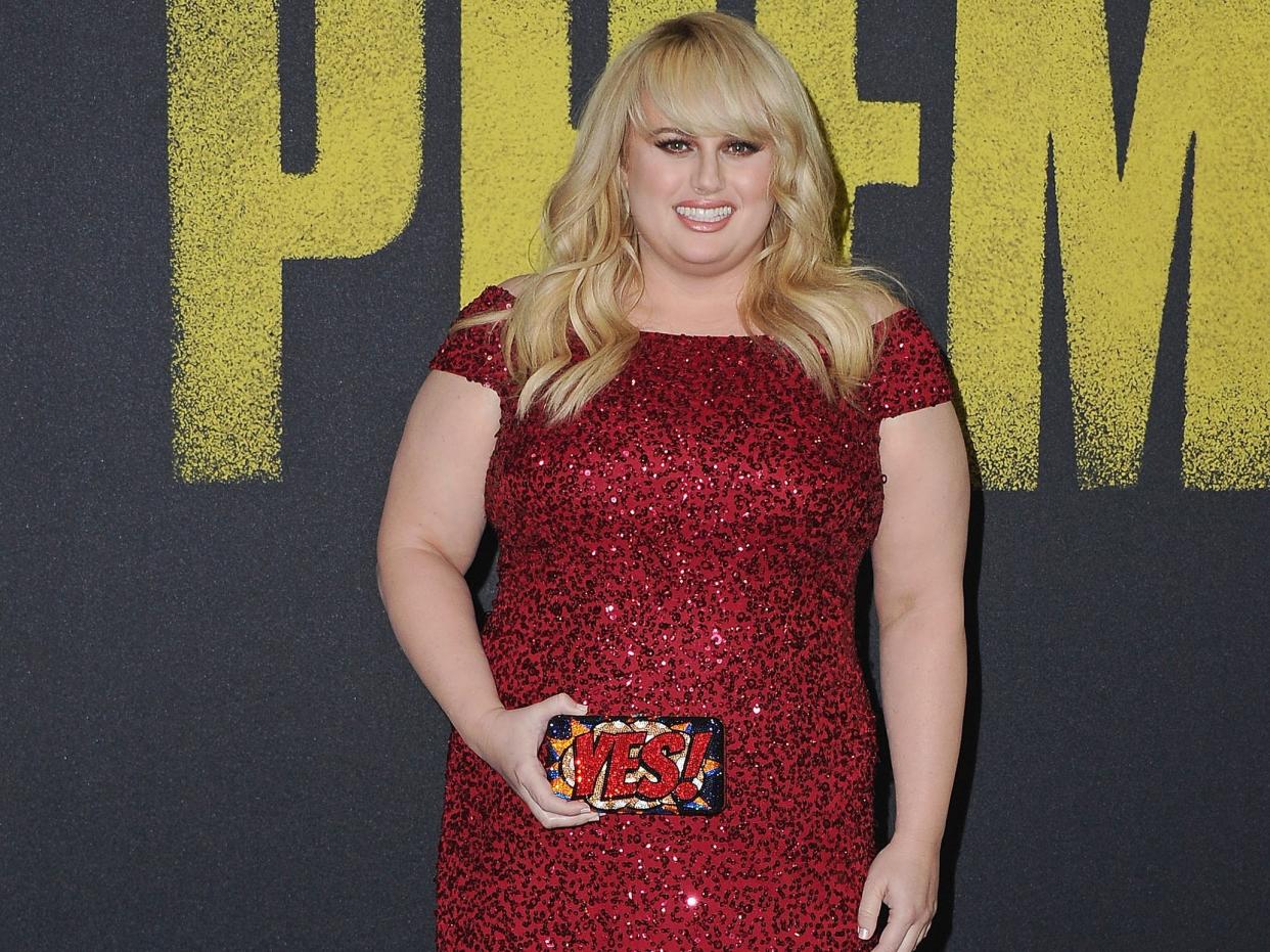 Actress Rebel Wilson attends the Los Angeles Premiere "Pitch Perfect 3" at the Dolby Theatre on December 12, 2017 in Hollywood, California.