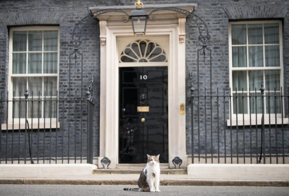 Larry the Cat celebrated a decade as Downing Street&#x002019;s chief mouser (Stefan Rousseau/PA) (PA Archive)