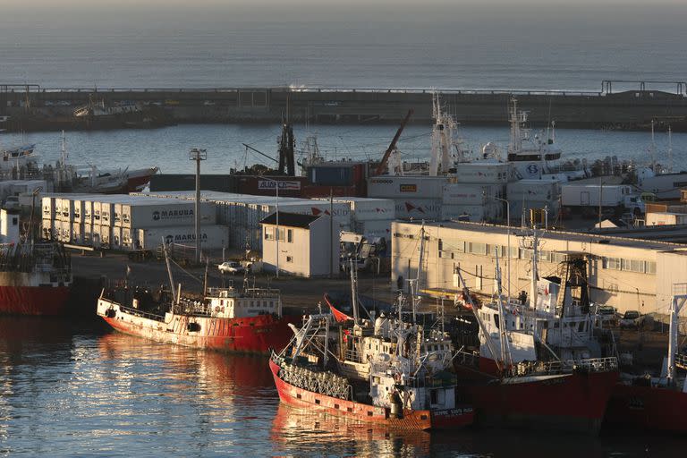 Terminal de carga y descarga de containers. 
Puerto de Mar del Plata.  
Foto: Mauro V. Rizzi