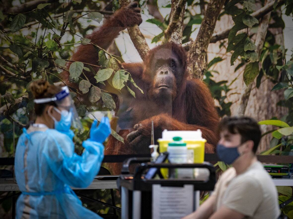 The COVID-19 vaccination clinic at the Toronto Zoo is operated by FH Health, the company at the centre of a controversy over political donations to the Ontario PC Party.  (Evan Mitsui/CBC - image credit)