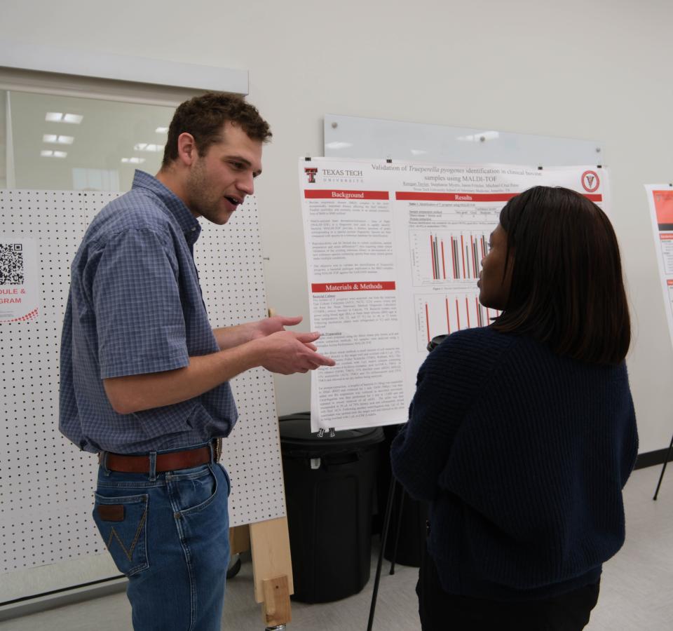 Researchers discuss a presentation at the inaugural Amarillo Research Symposium, which will be held at the Texas Tech School of Veterinary Medicine in Amarillo.